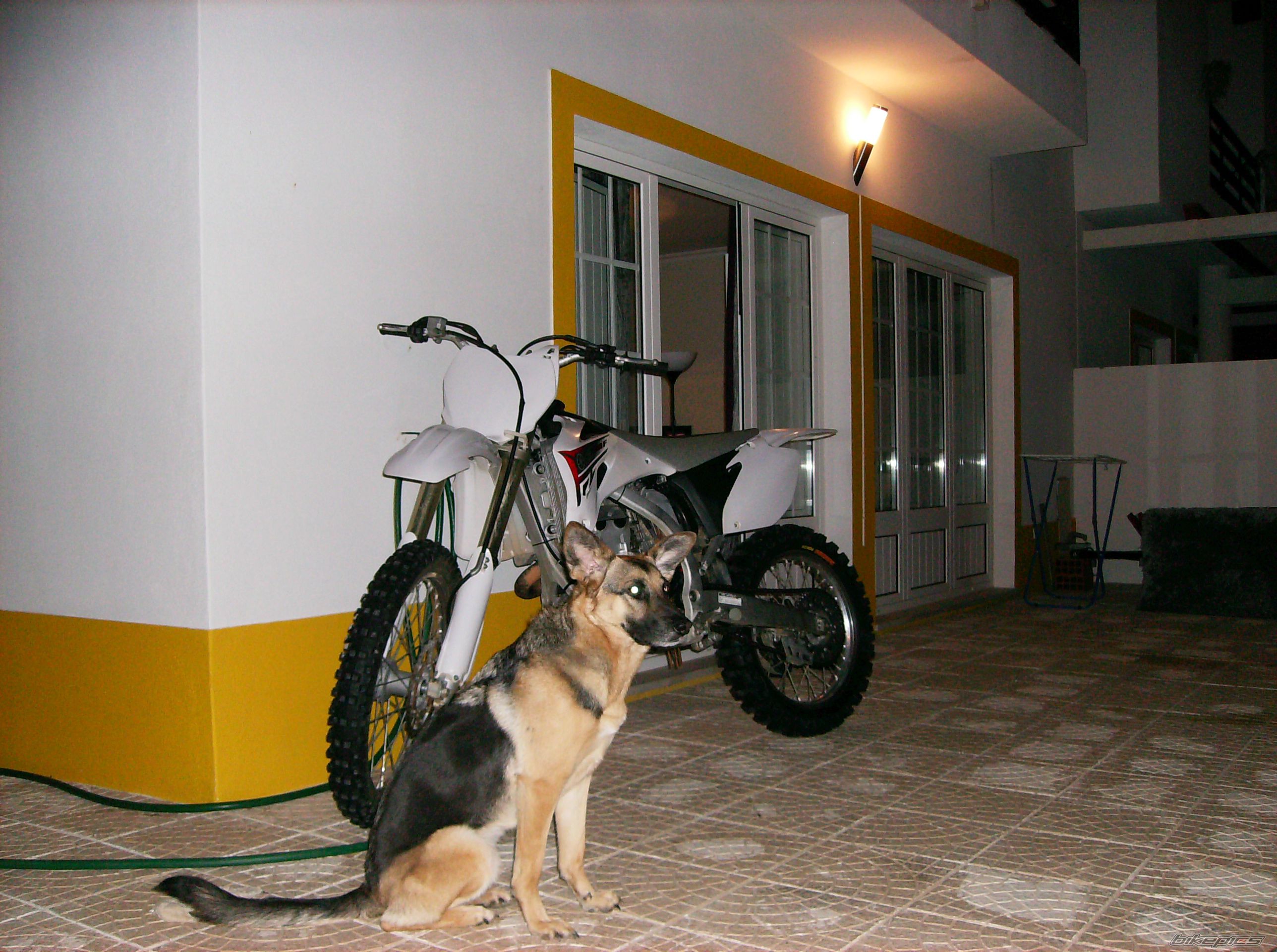 Photo 2174496