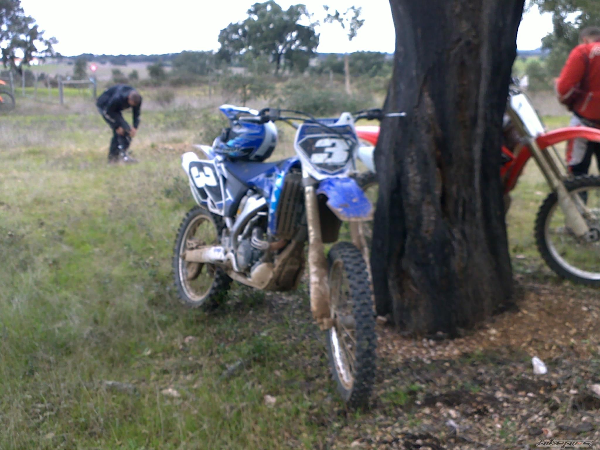 Photo 2174505
