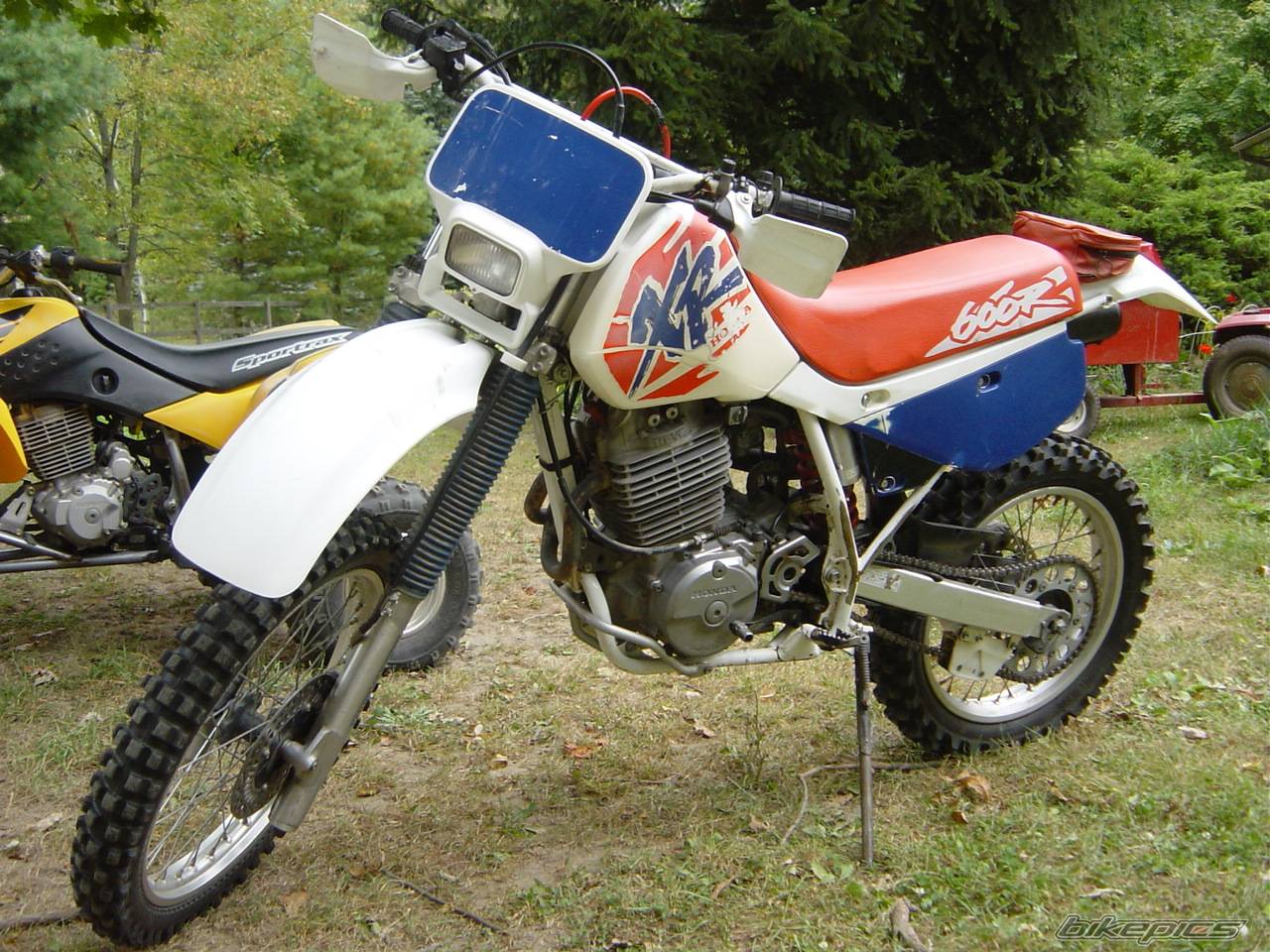 Photo 217472