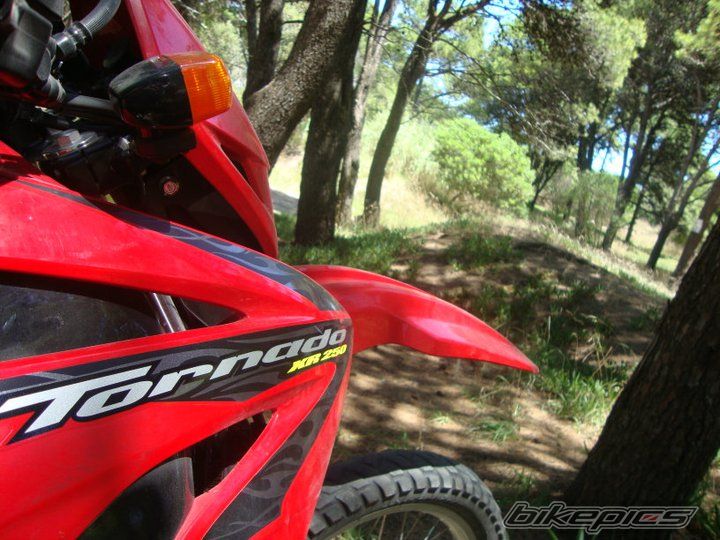 Bike Photo 2174730