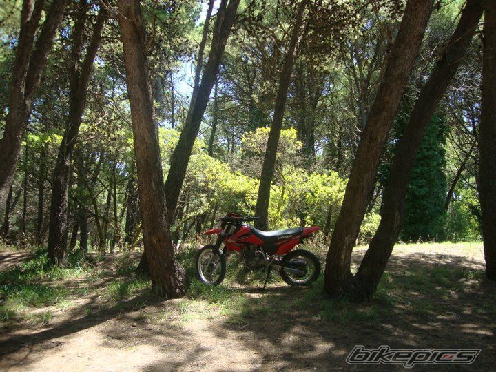 Bike Photo 2174731