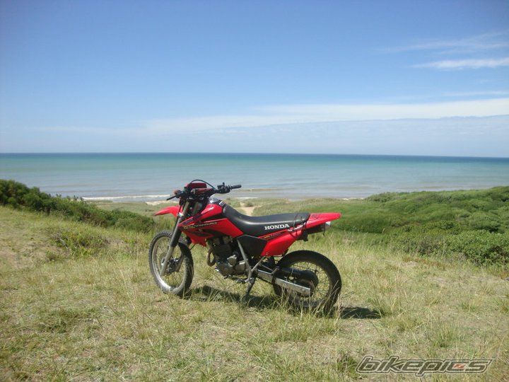 Bike Photo 2174733
