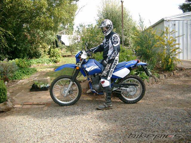 Photo 217487