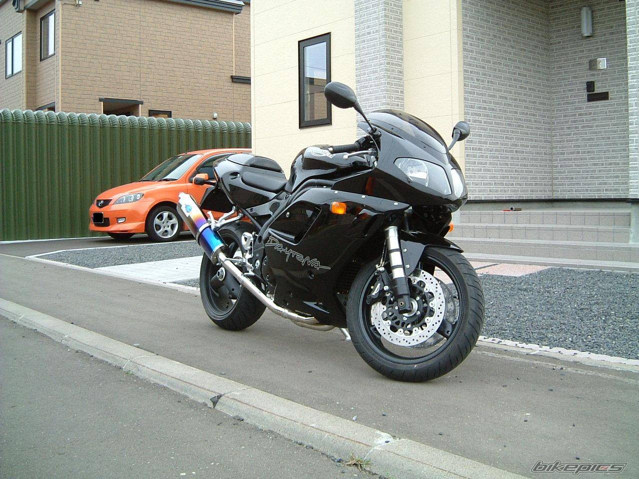 Photo 217504