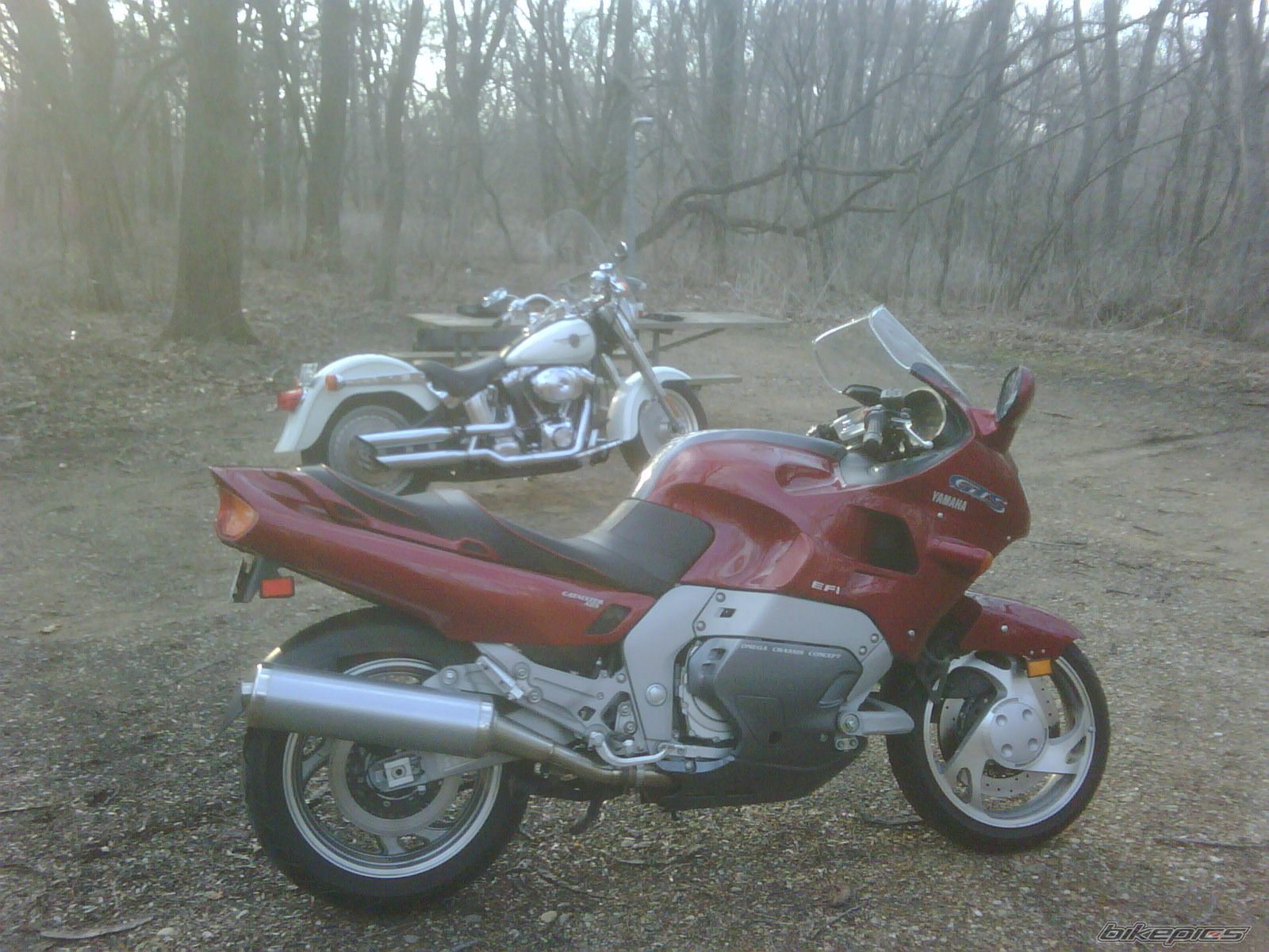 Bike Photo 2175055
