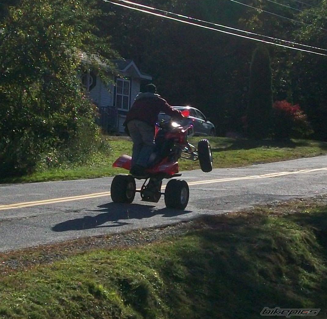 Photo 2175159