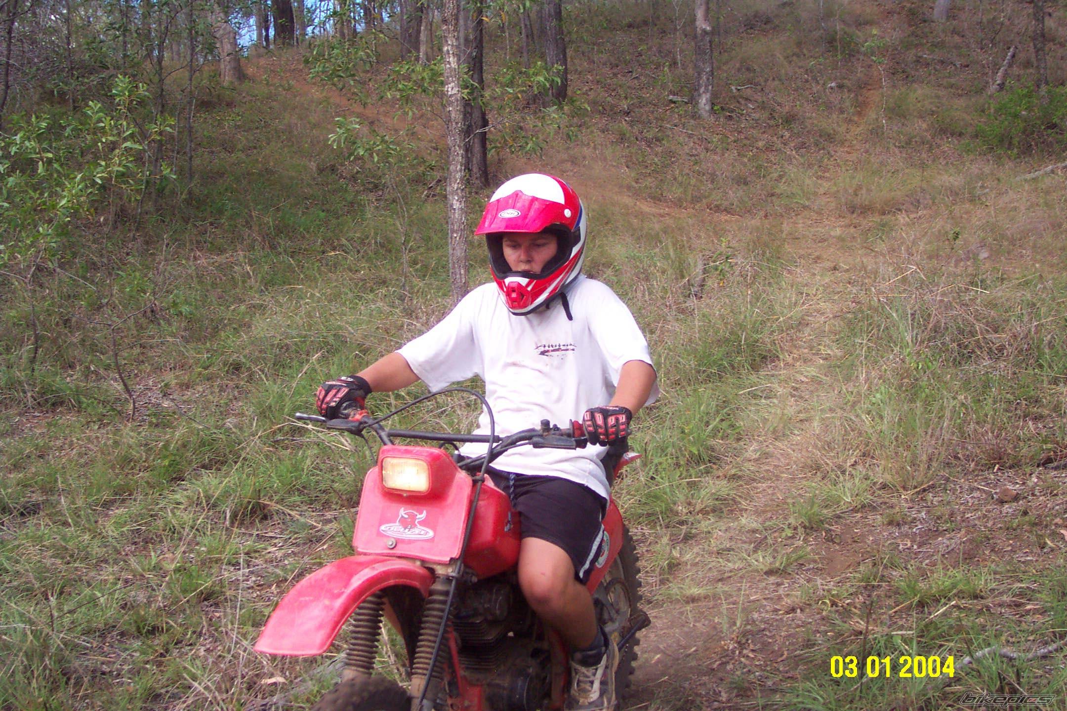 Photo 217517
