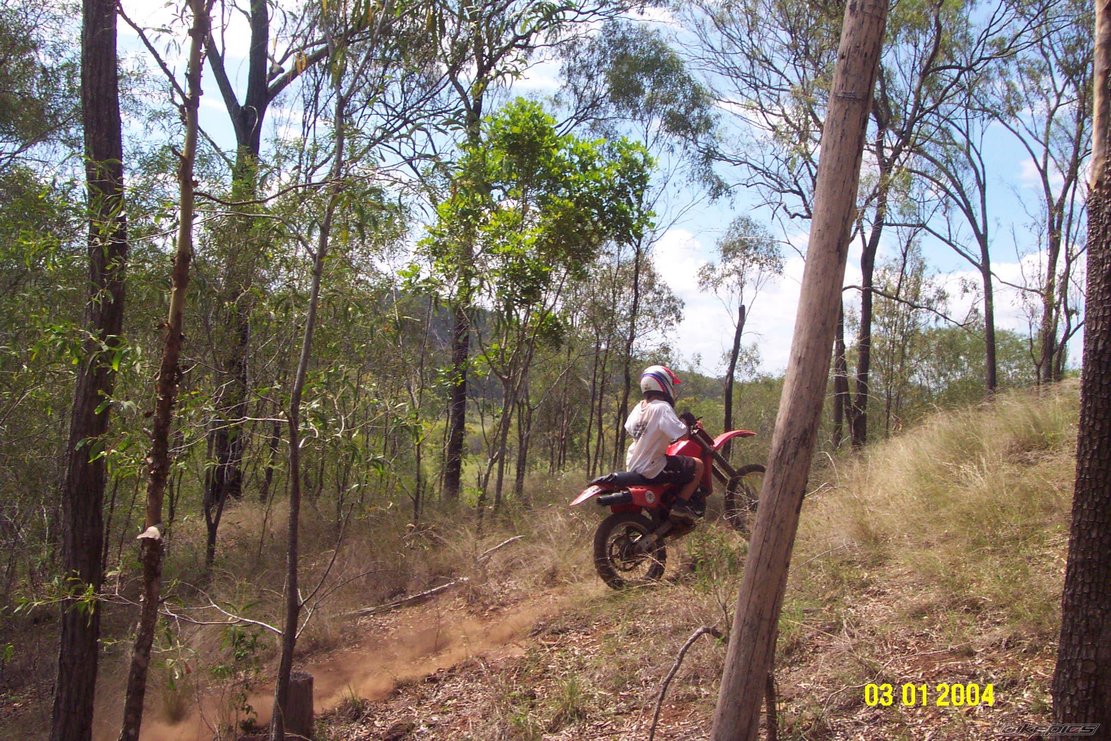 Photo 217518
