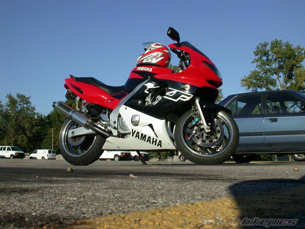 Photo 217521
