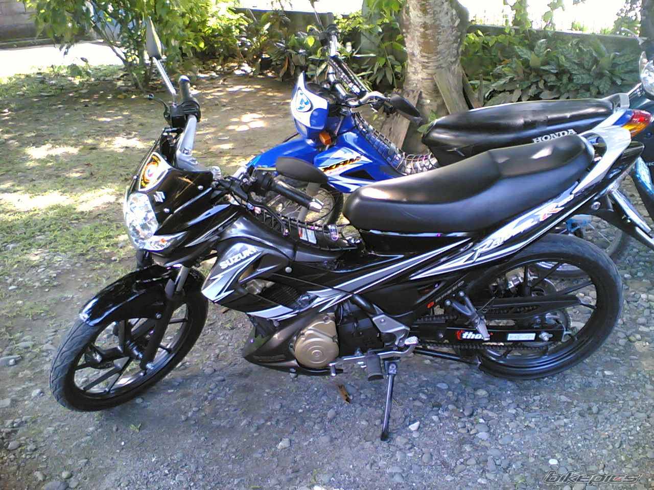 Photo 2175261