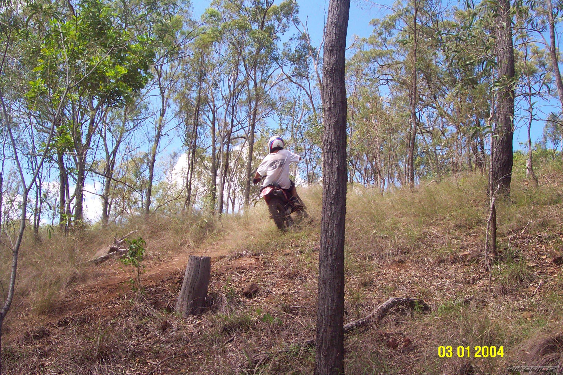 Photo 217527