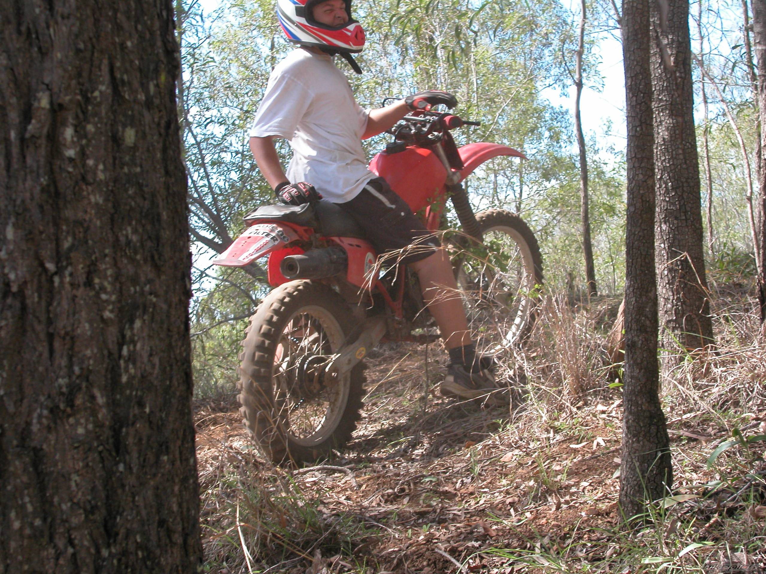 Photo 217531