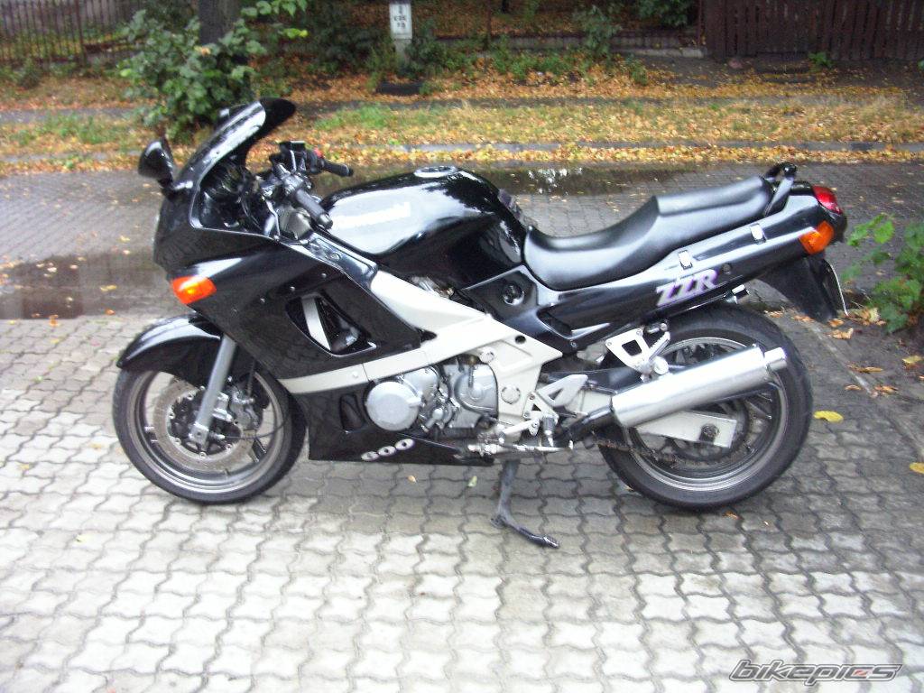 Photo 217546