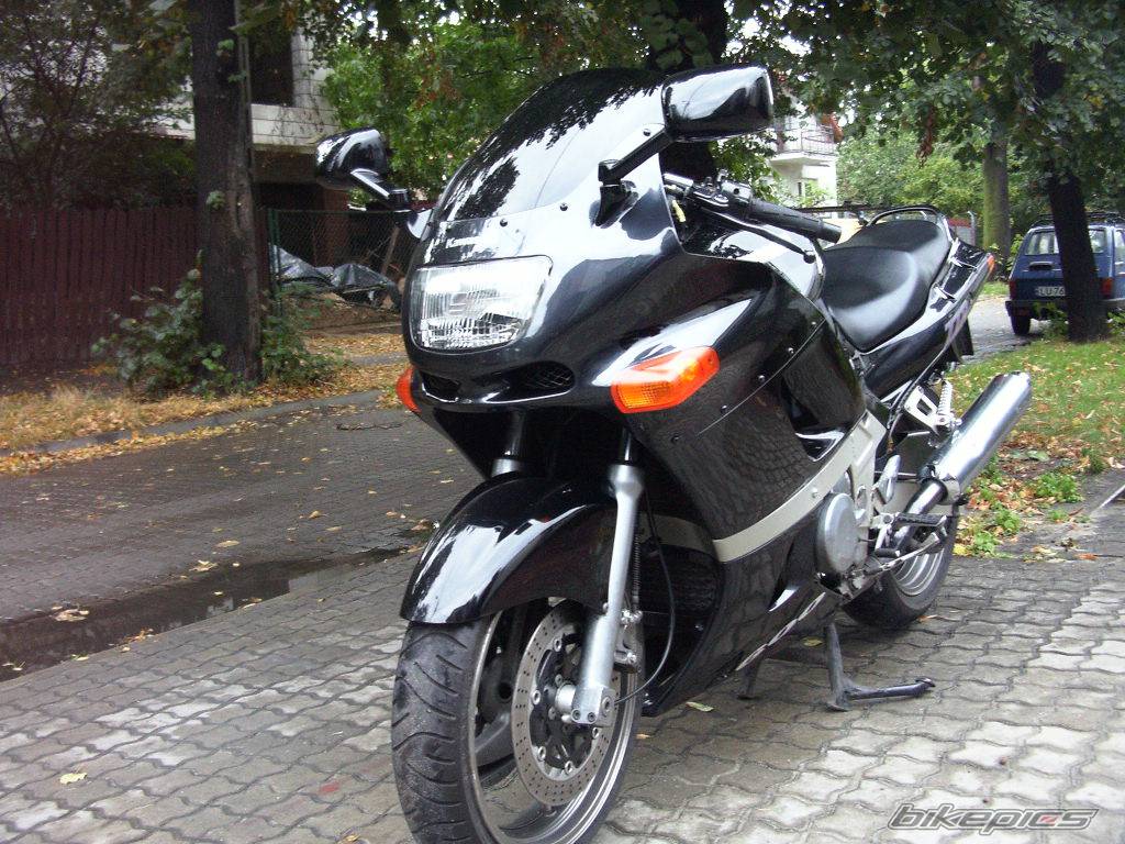 Photo 217547