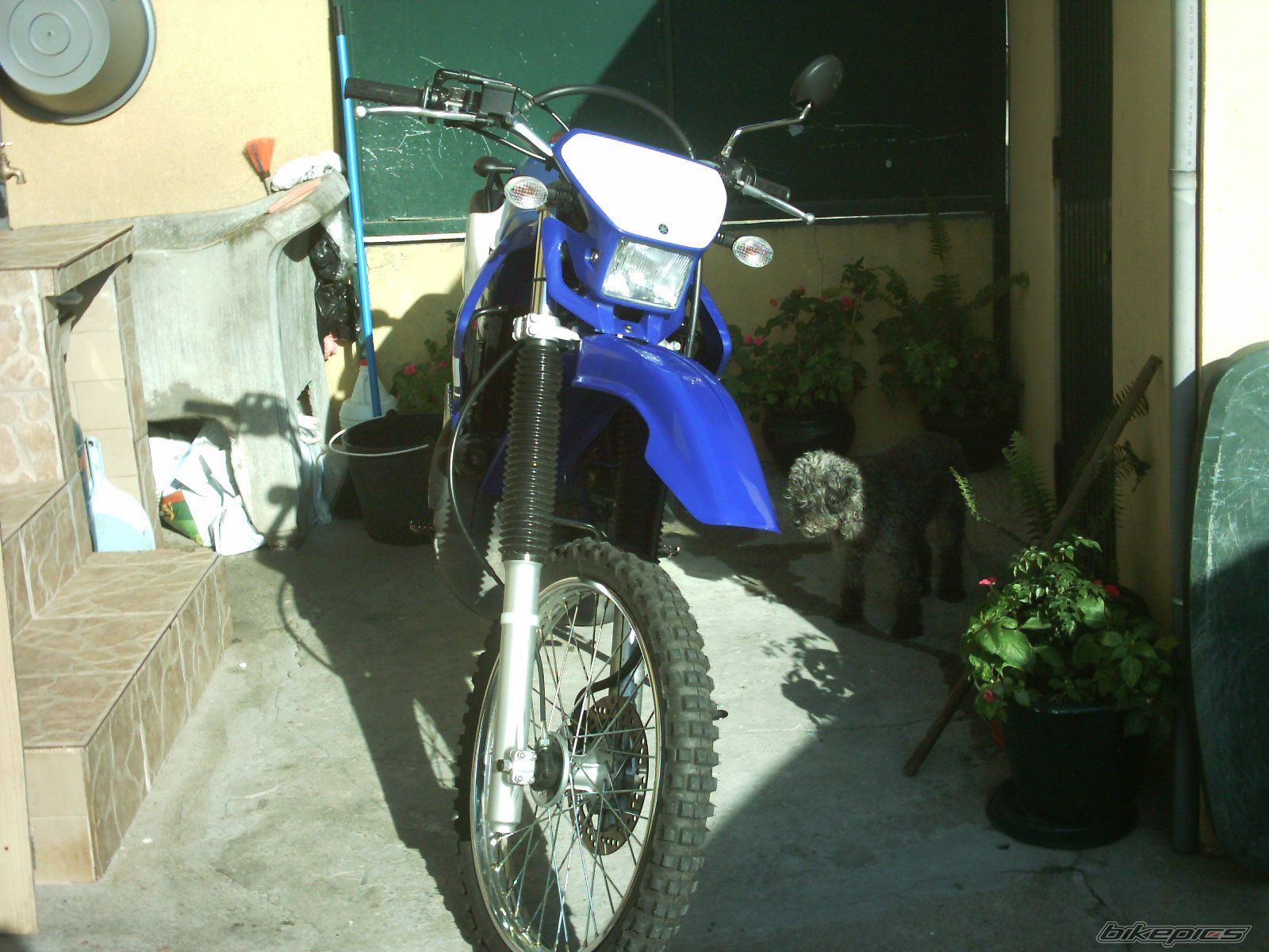 Photo 2175577