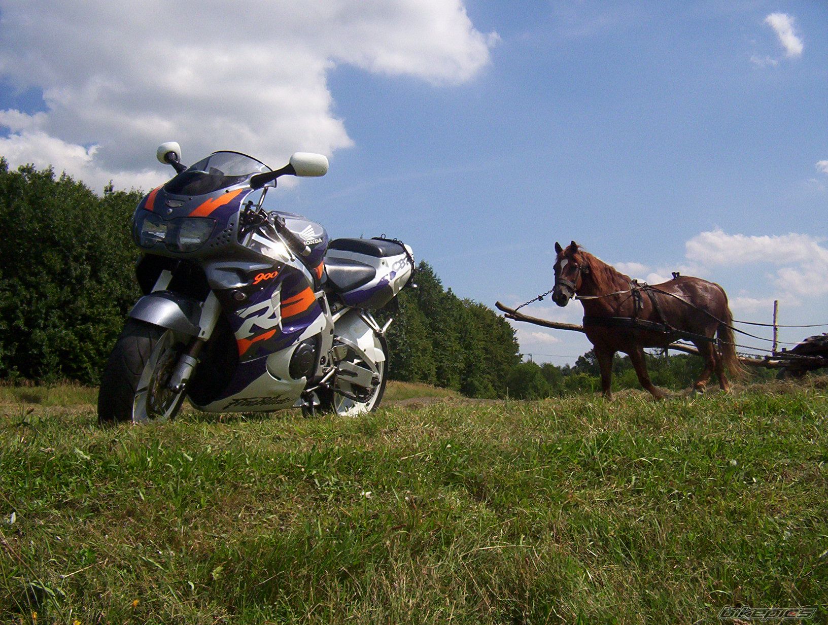 Photo 2175723