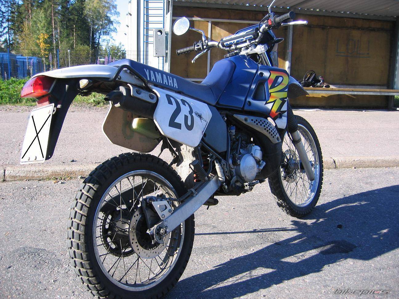 Photo 217581