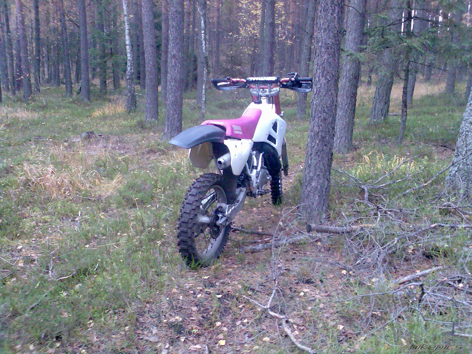 Bike Photo 2175826