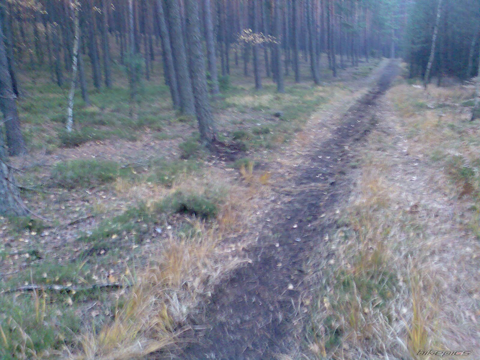 Bike Photo 2175836