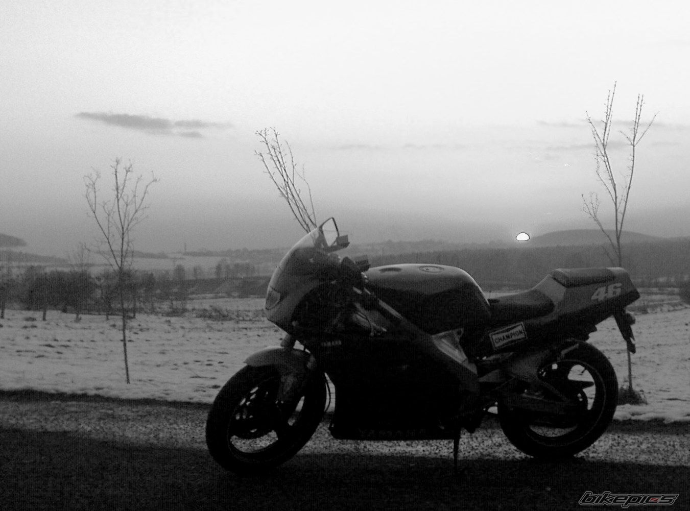 Photo 2175908