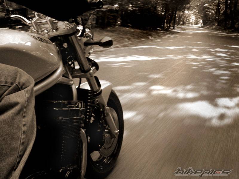 Photo 217601