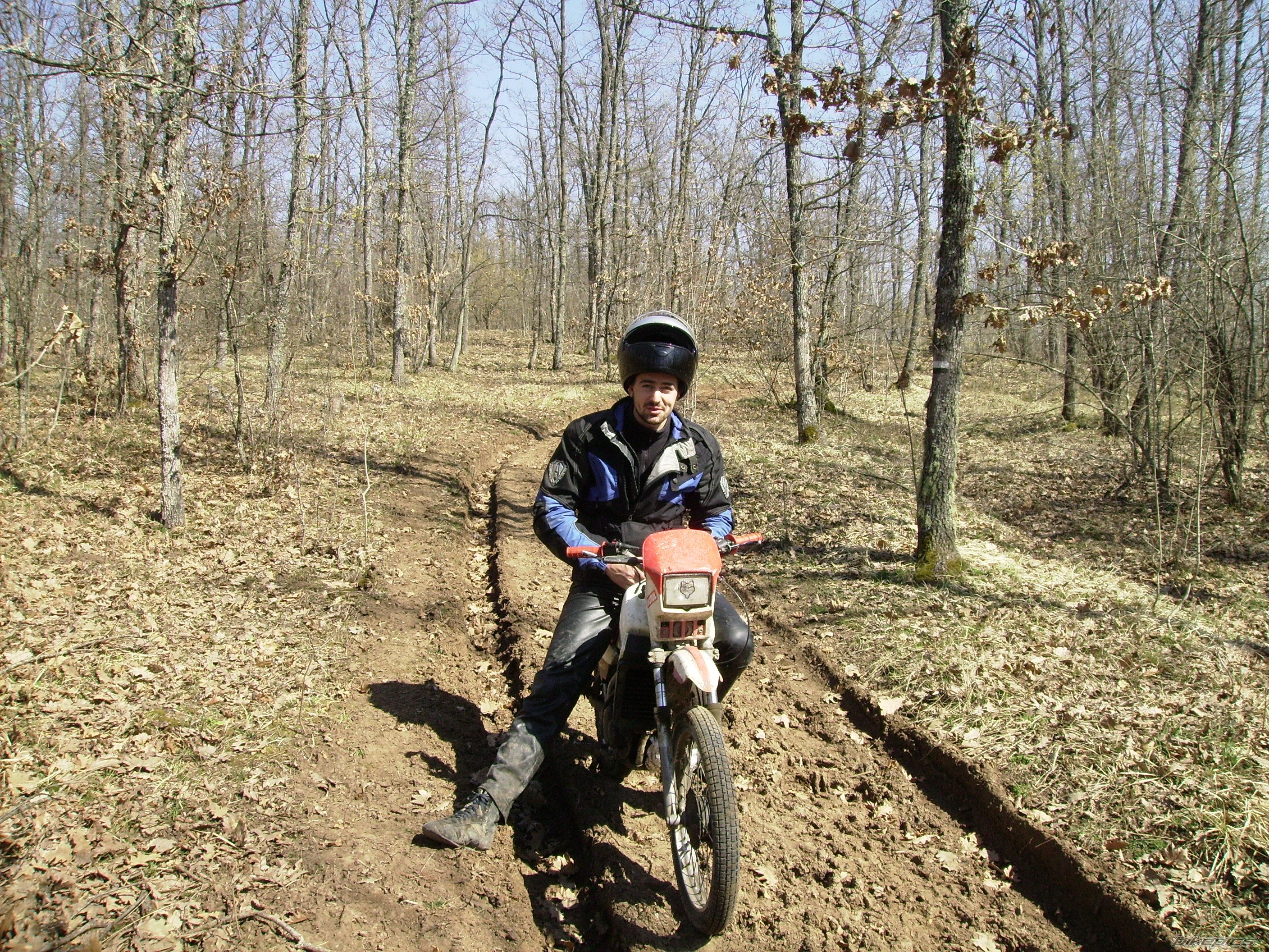 Photo 2176187