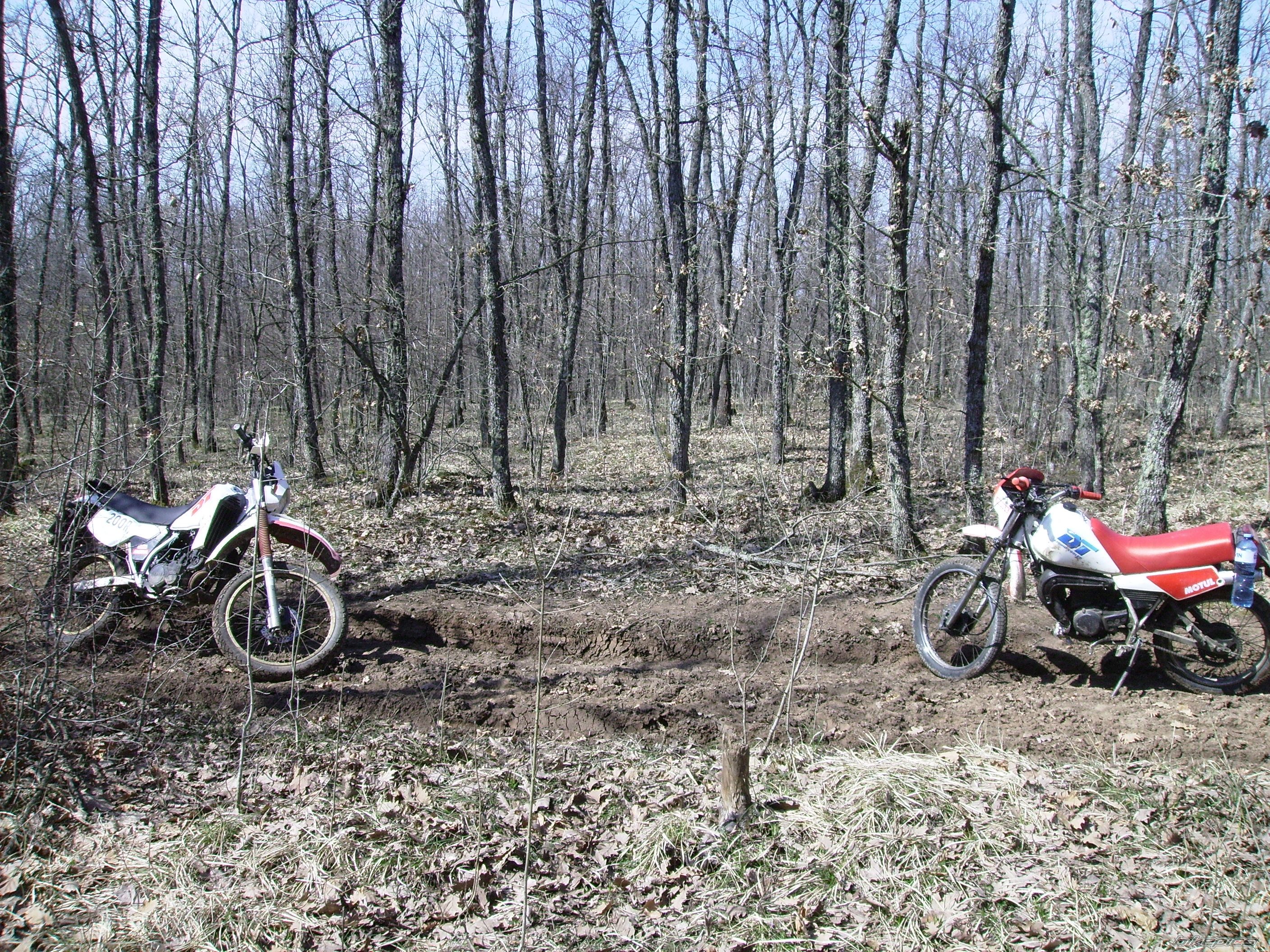 Photo 2176189