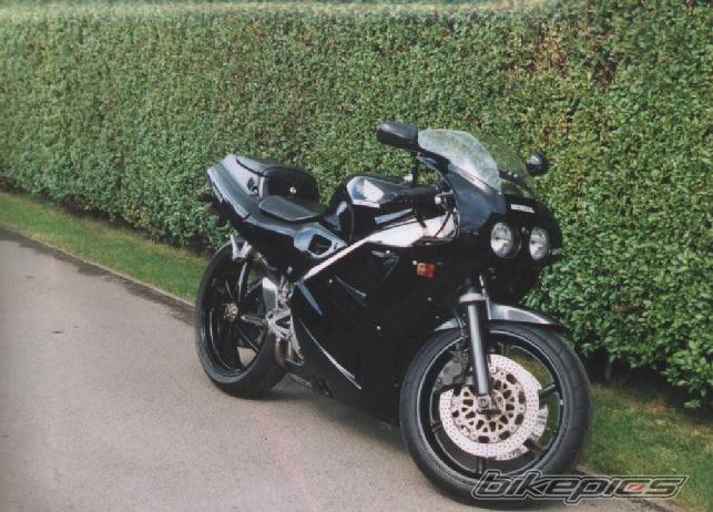 Photo 21763