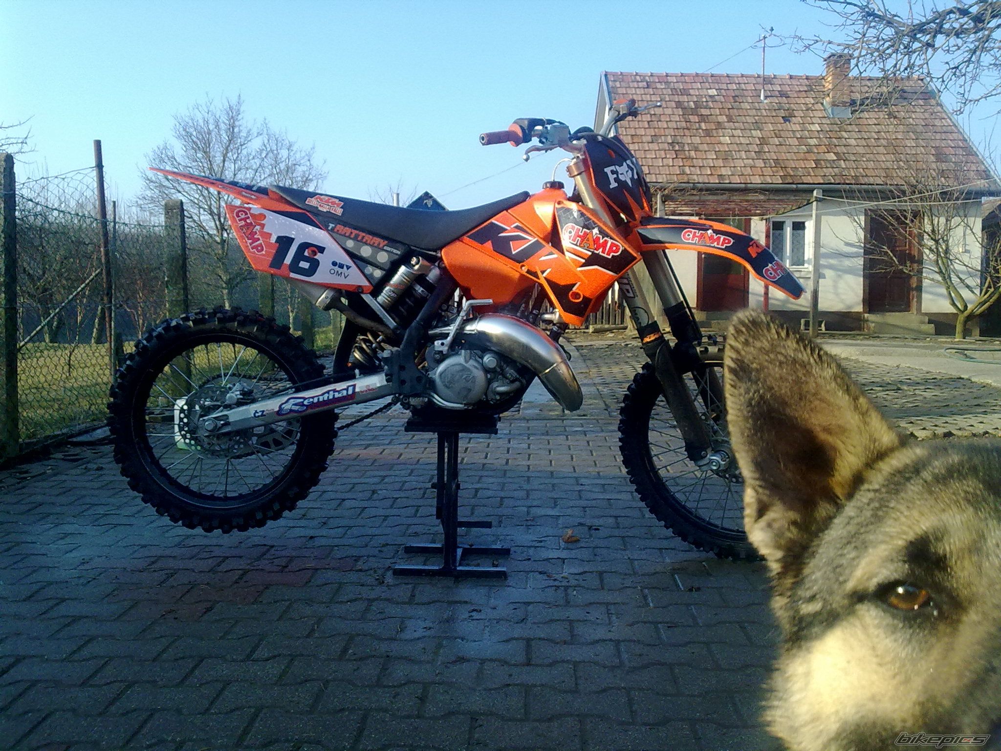 Bike Photo 2176491