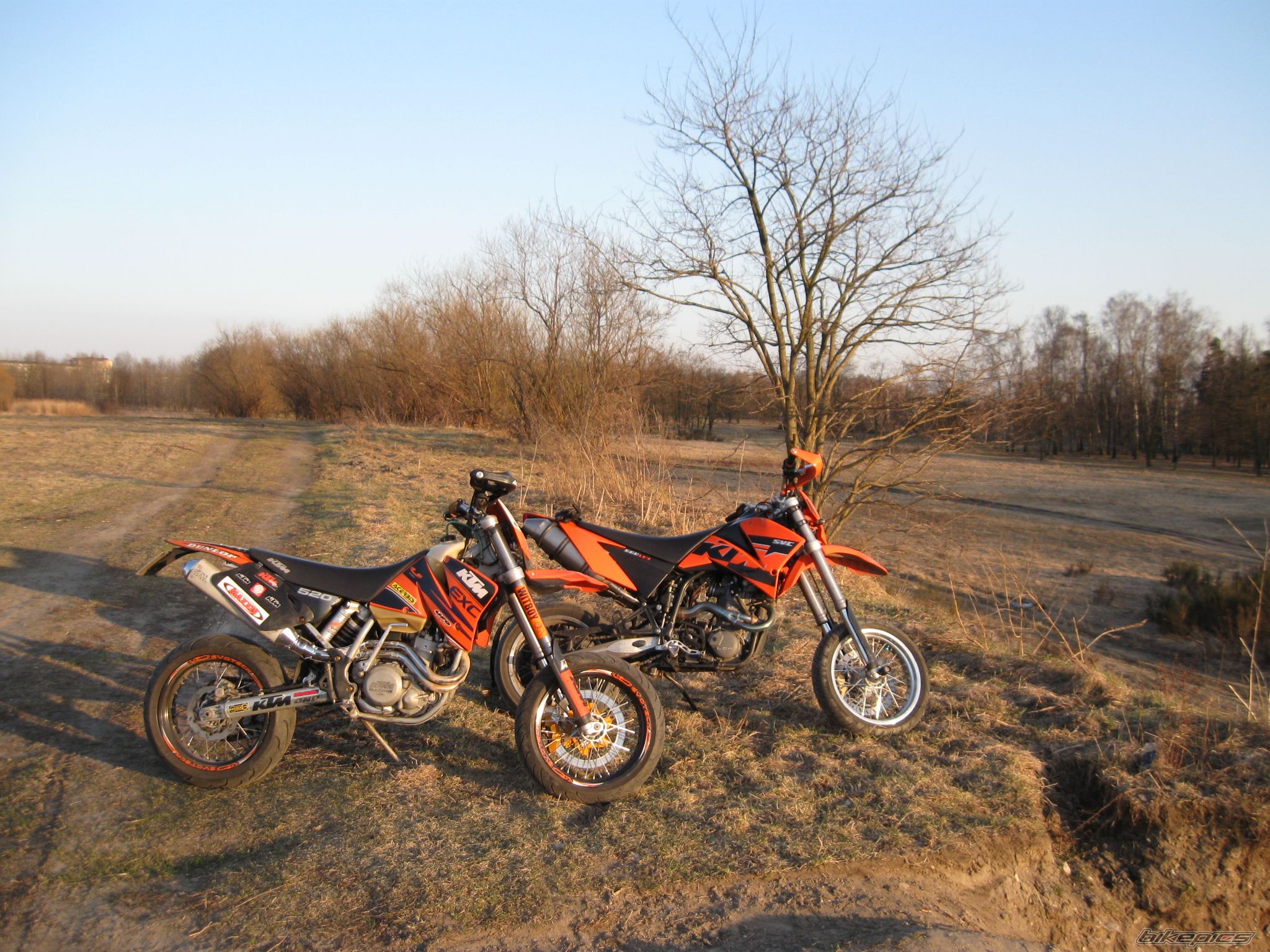 Photo 2176499
