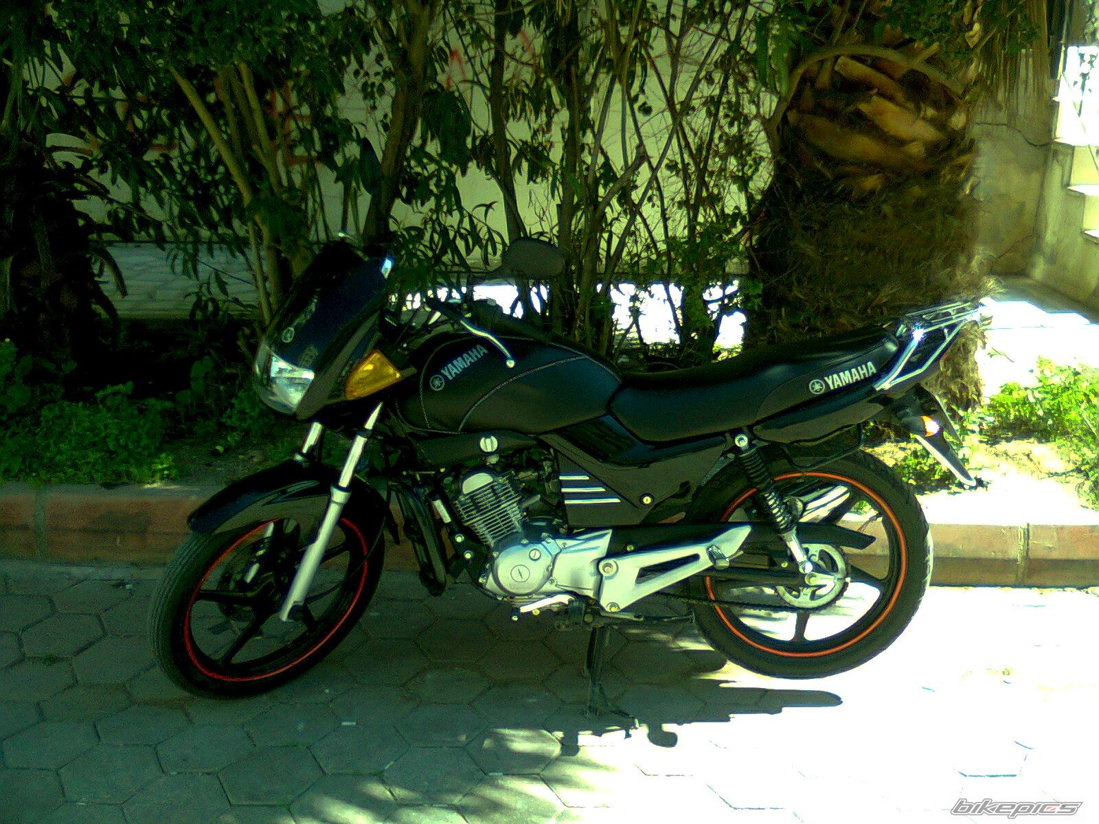 Photo 2176502