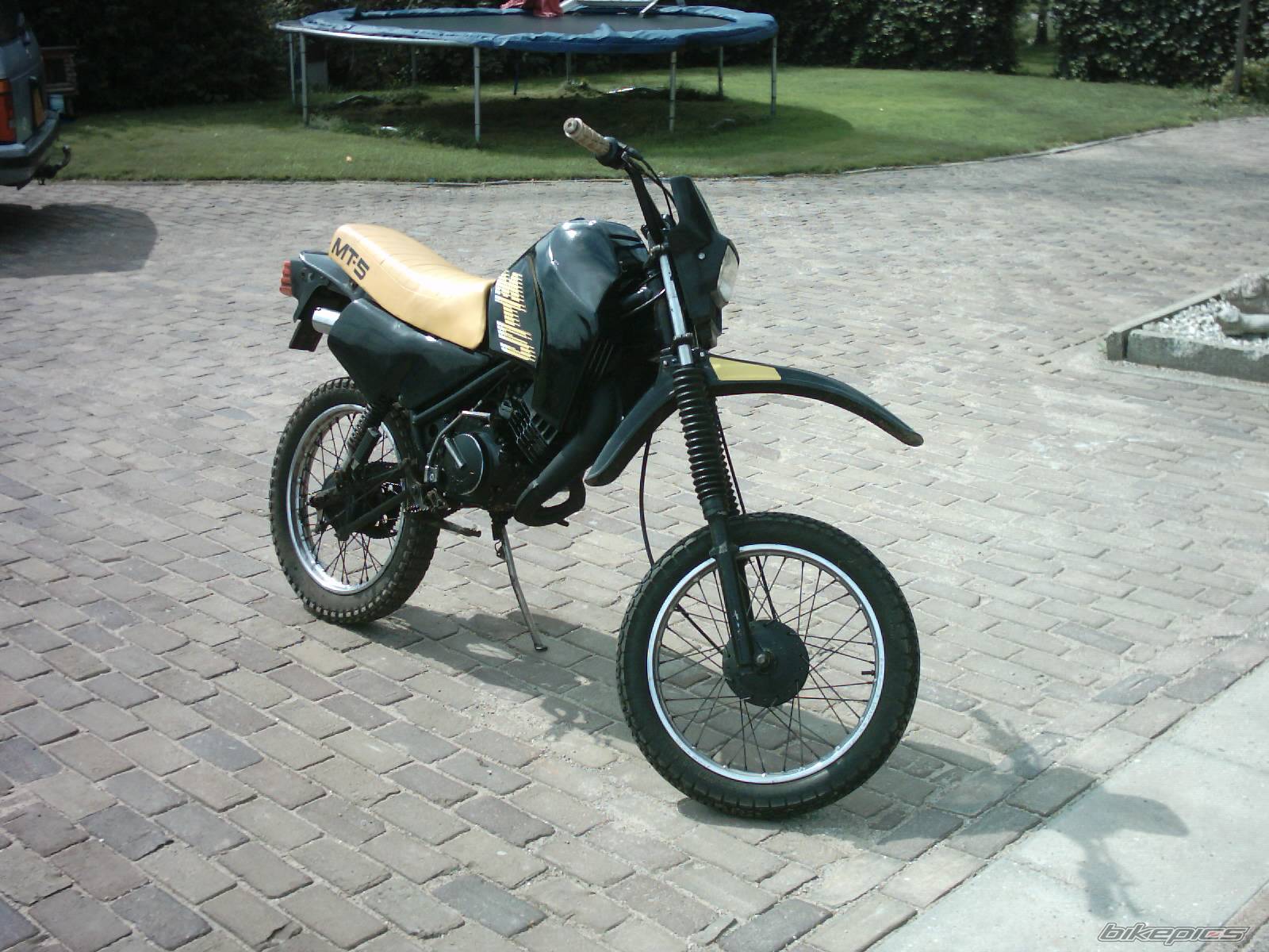 Photo 217651