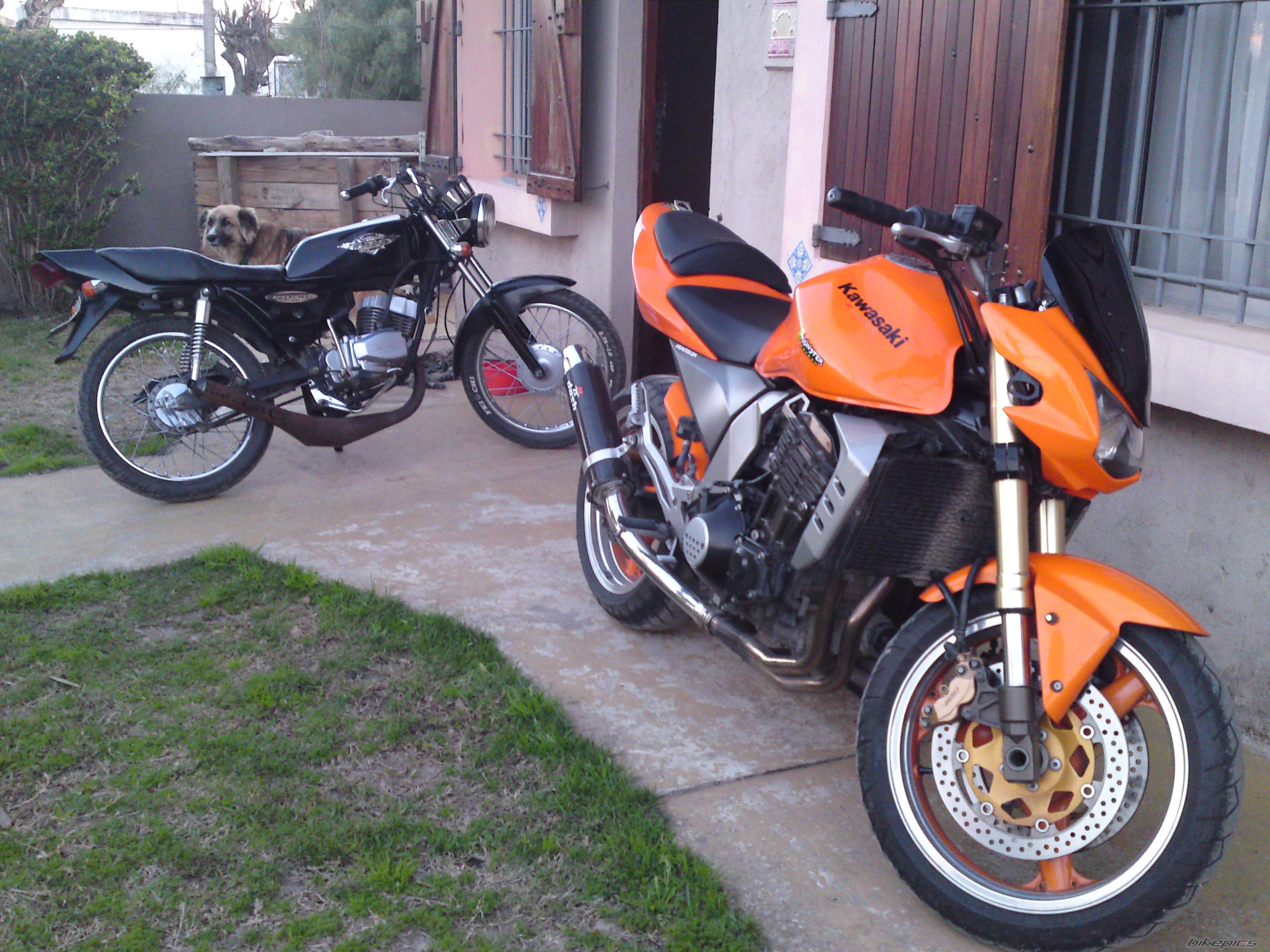 Photo 2176784