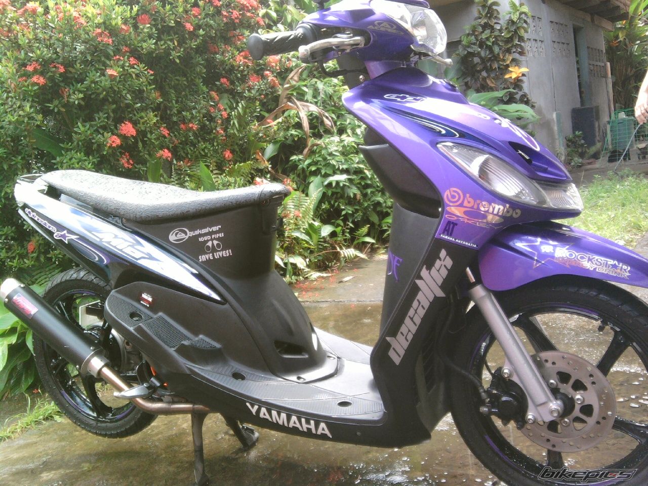 Photo 2176798