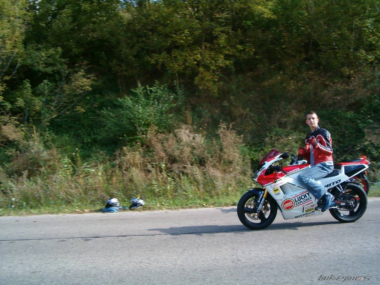 Photo 217686