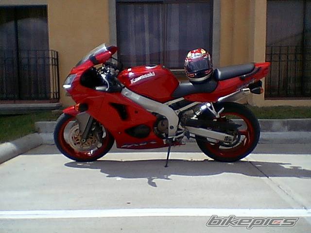 Photo 217696