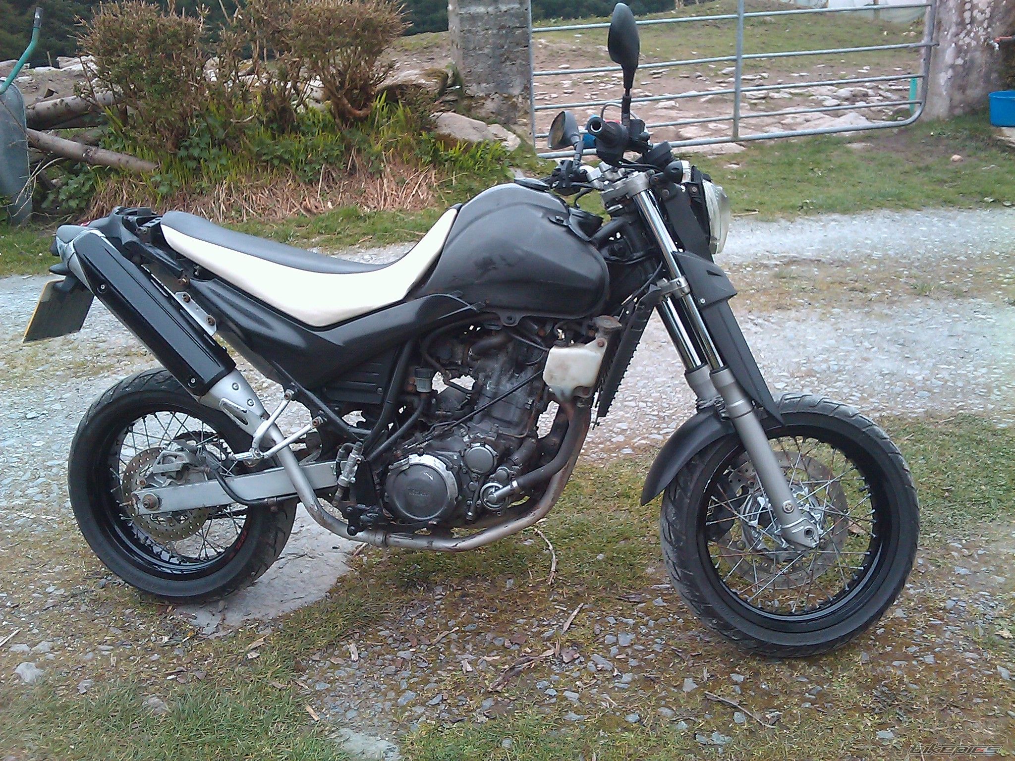 Photo 2177034