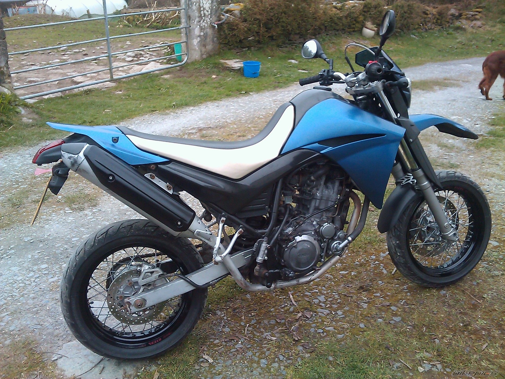 Photo 2177188