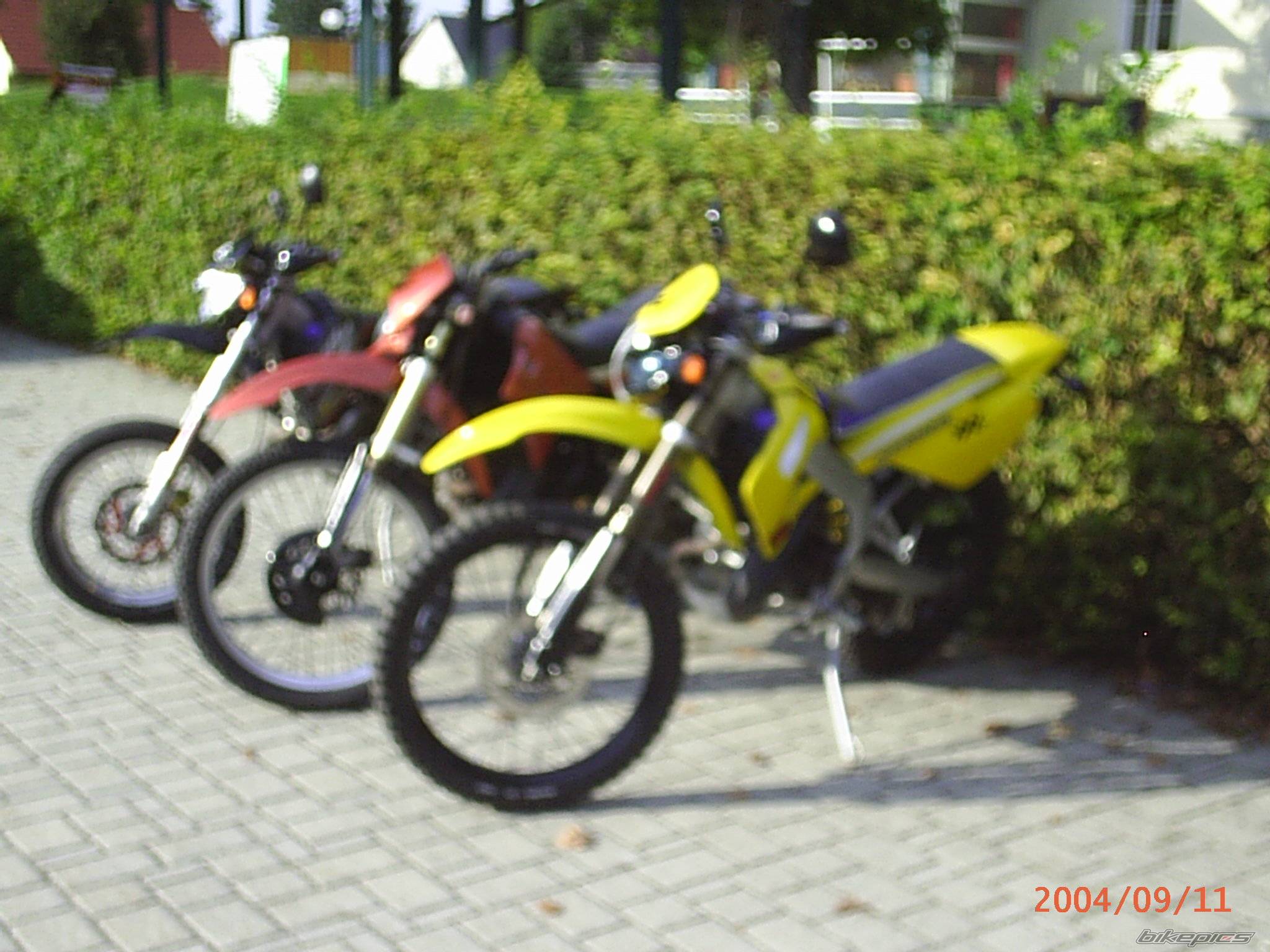 Photo 217726