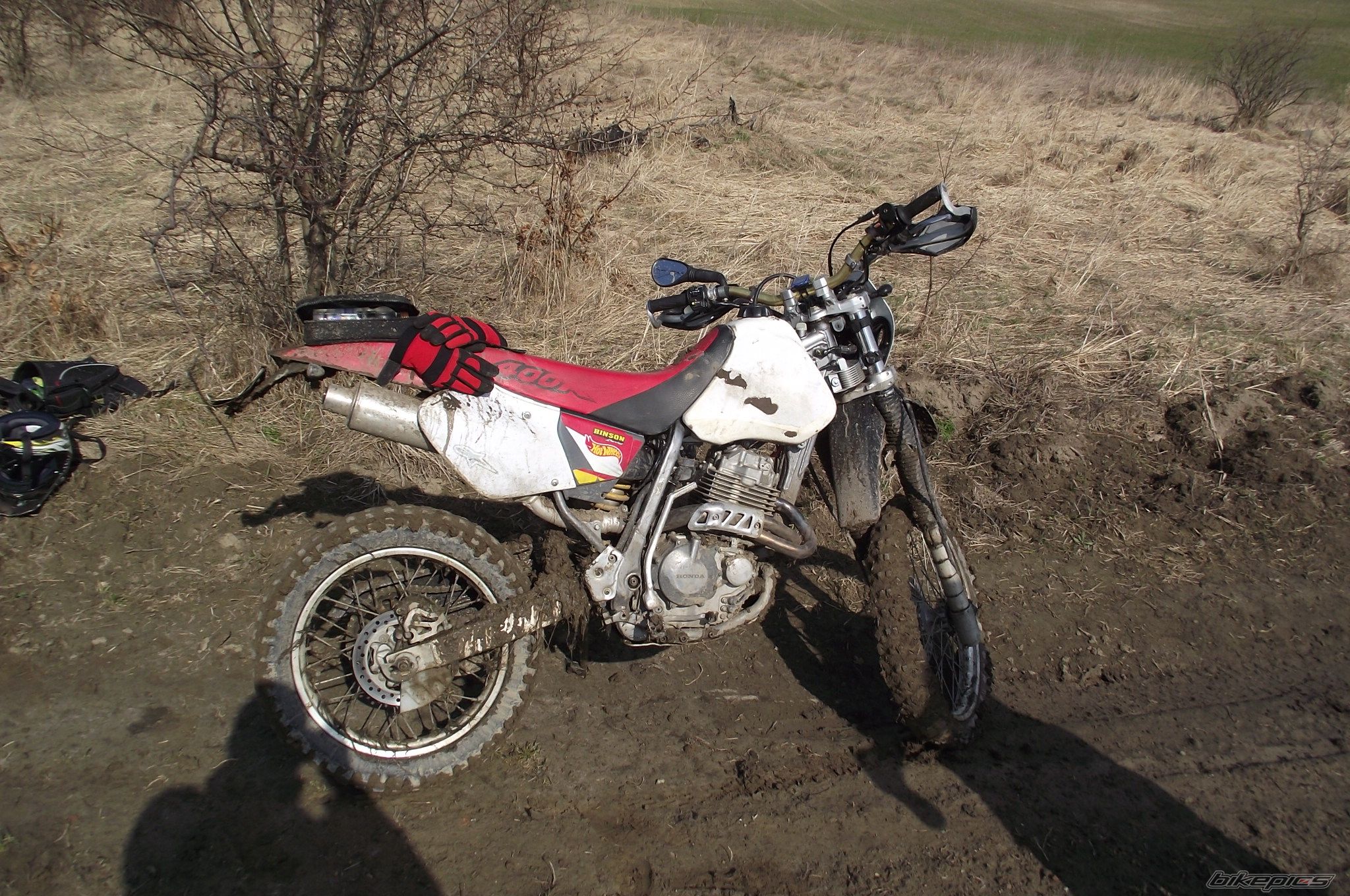 Photo 2177279
