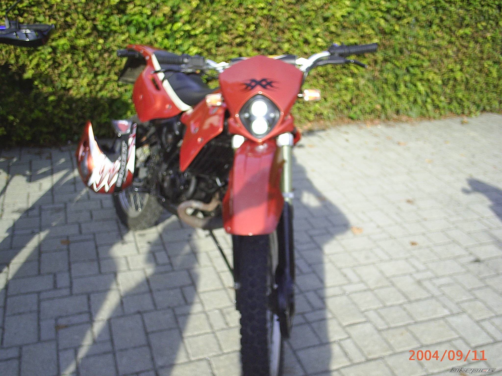 Photo 217728