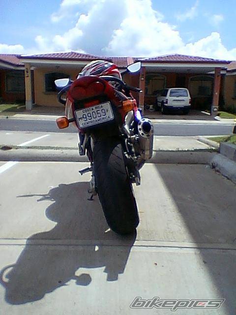 Photo 217729