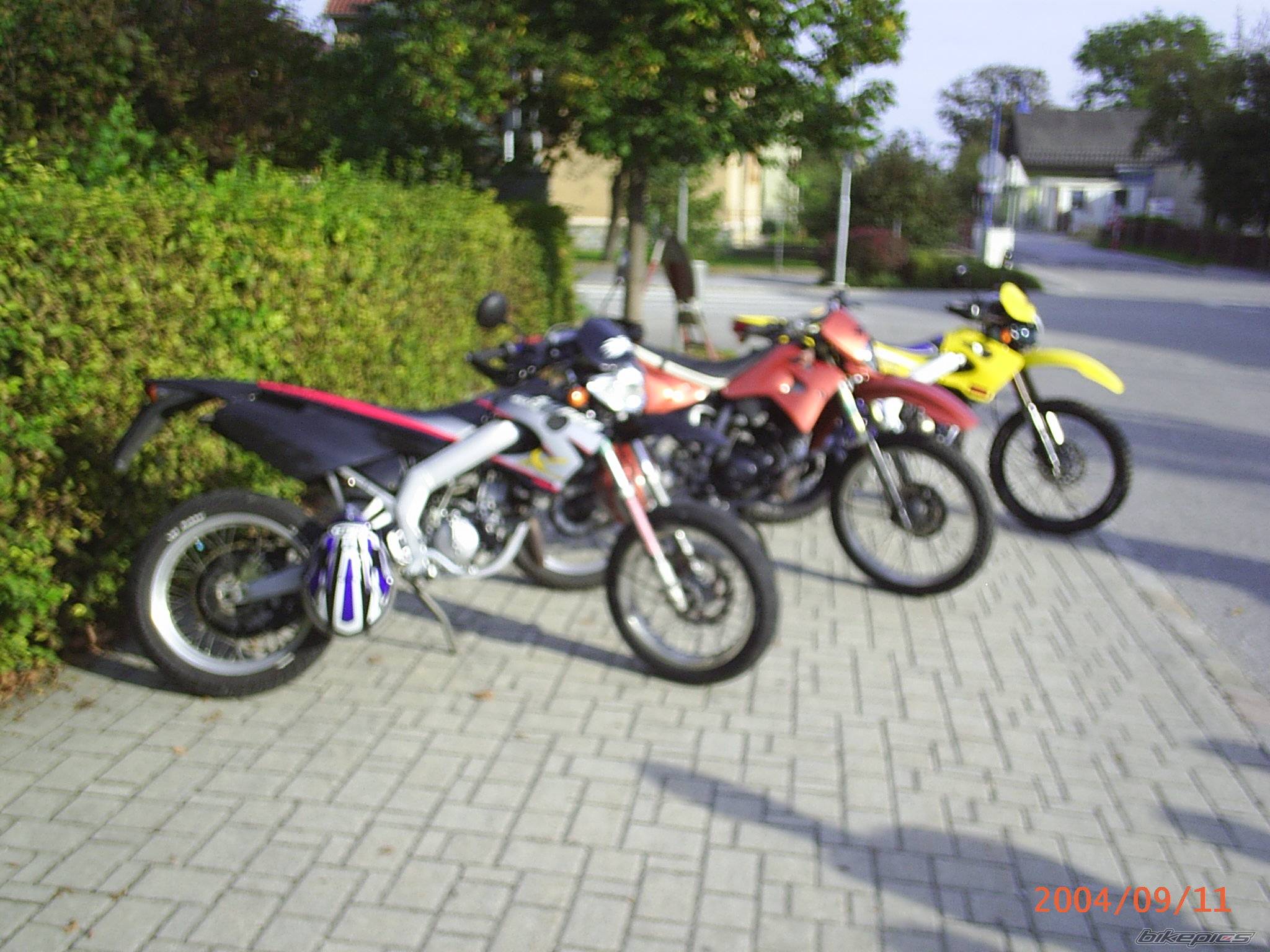 Photo 217732