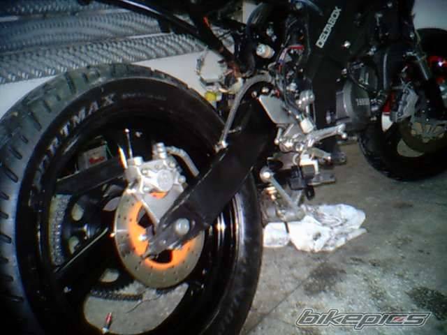 Photo 217744