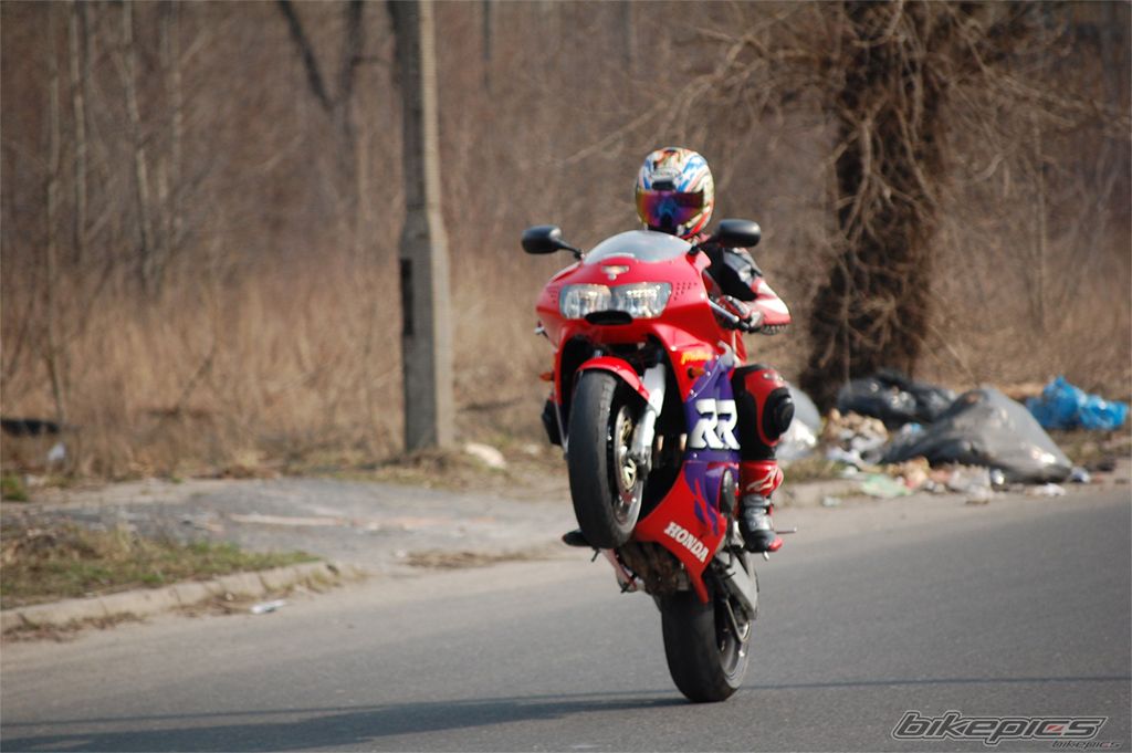 Photo 2177440