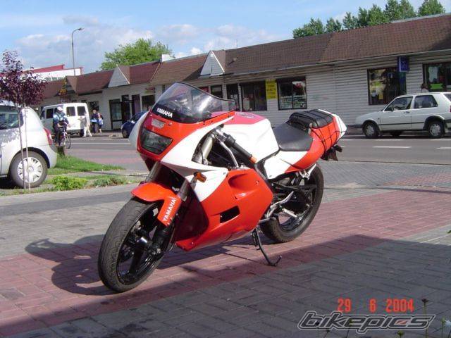 Photo 217754