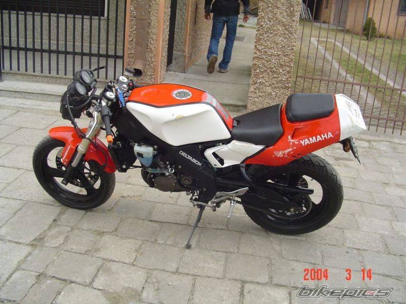 Photo 217757