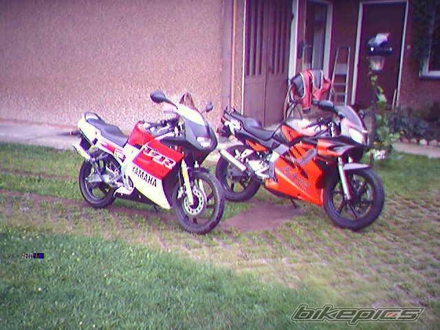 Photo 217760