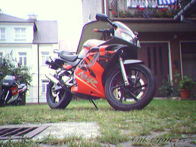 Photo 217761