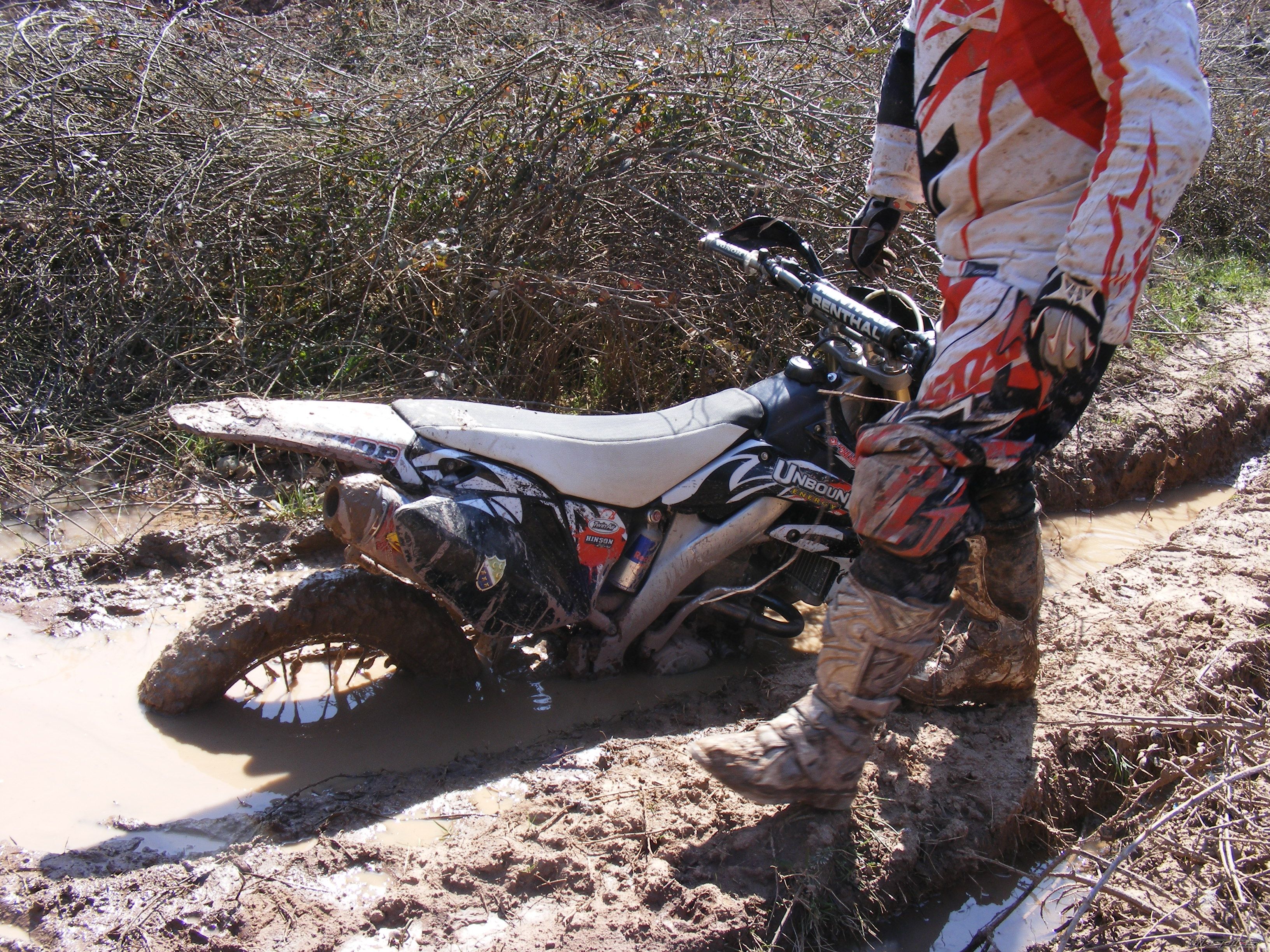 Photo 2177669